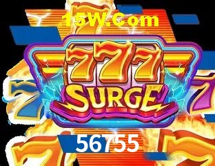 56755 - Support